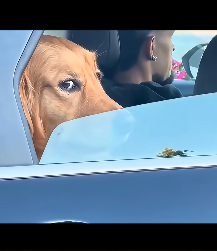 스크린샷 2026-01-06 160451.png