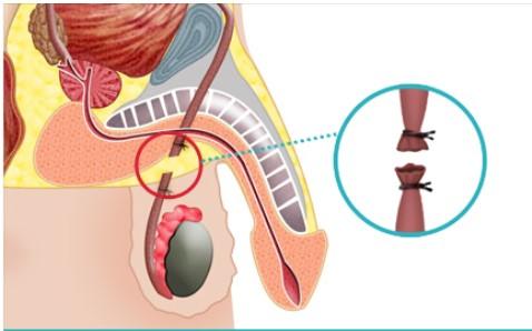 화면 캡처 2025-12-03 105048.jpg