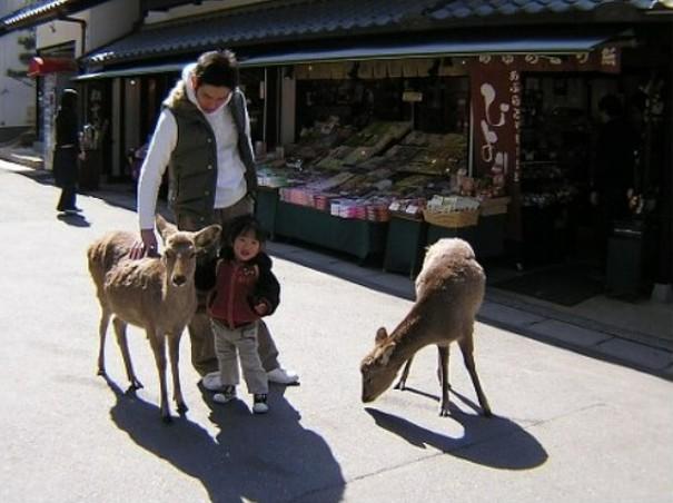 화면 캡처 2025-11-12 173821.jpg