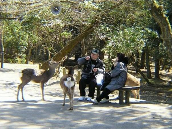 화면 캡처 2025-11-12 173851.jpg