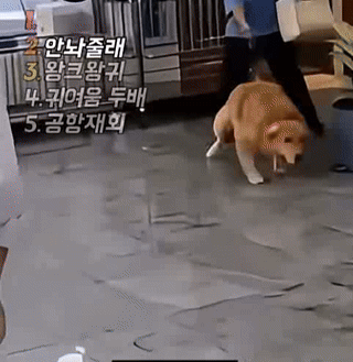 Video_2025_1113_220051-ezgif.com-video-to-gif-converter (1).gif