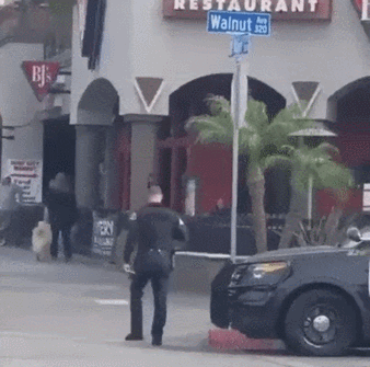 다운로드 (2).gif