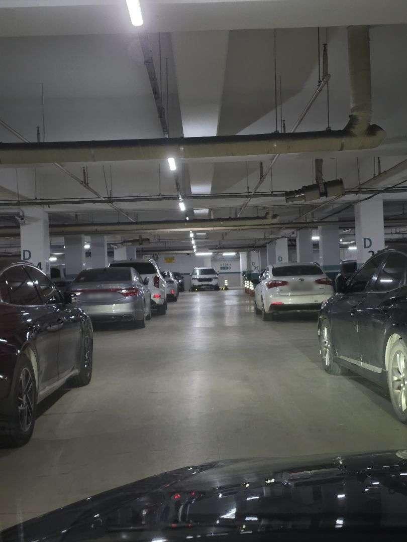 617507898_1499265335106254_4392812989722462277_n (1).jpg