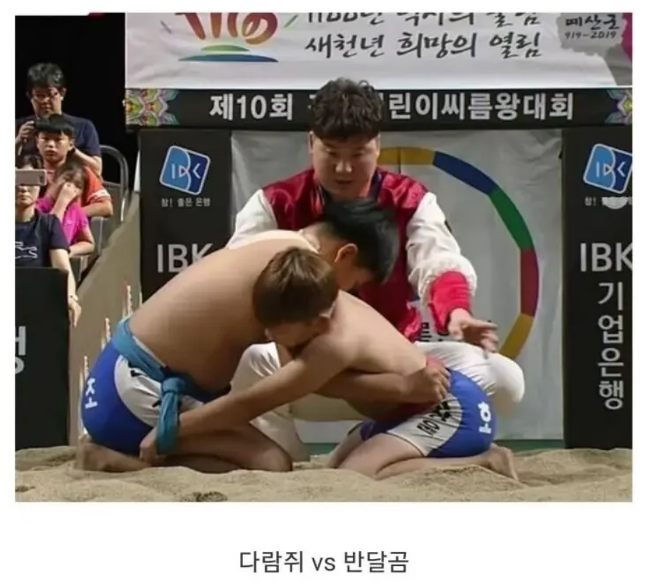 씨름1.png