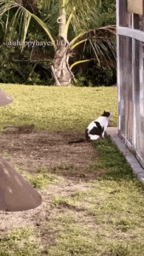 ezgif.com-resize (1).gif