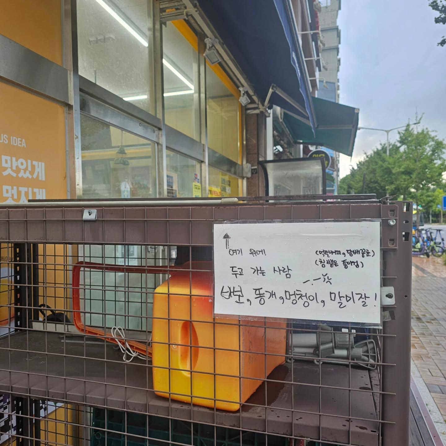 535797108_797928339231470_1438959966065051610_n.jpeg
