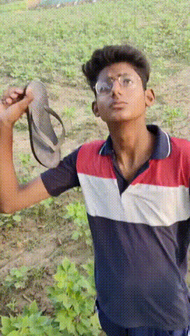 [유머]어린 시절 동네에 한 명씩 있던 새끼.gif