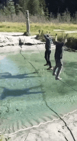 [유머] 한국 남자들은 한줄만 있어도 건너는데.gif