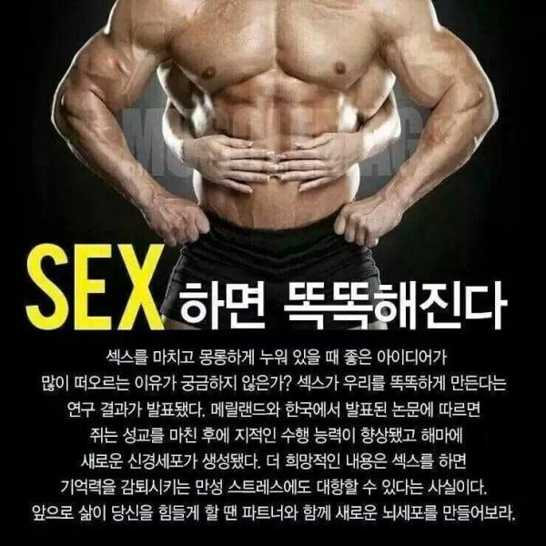 책을 많이 읽으면 똑똑해진다는 옛날 이제 이것 많이하면 똑똑해진다.jpg