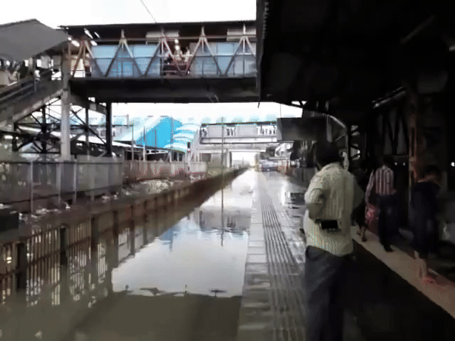 10-ezgif.com-video-to-gif-converter (1).gif