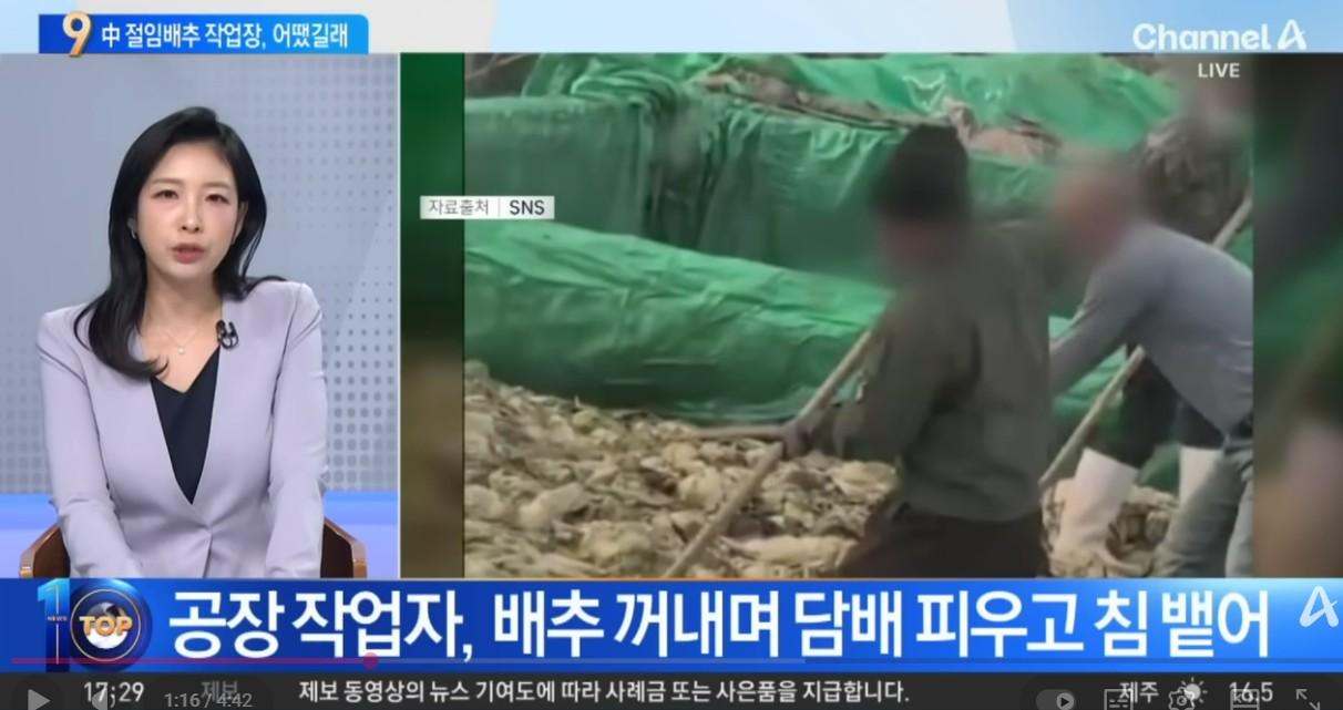 화면 캡처 2025-11-07 223644.jpg