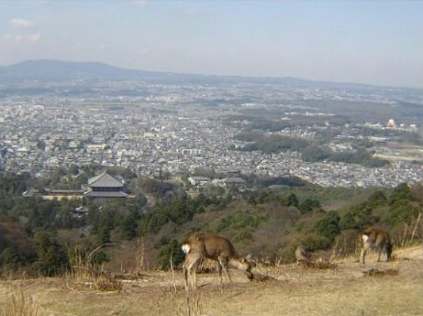 화면 캡처 2025-11-12 174019.jpg