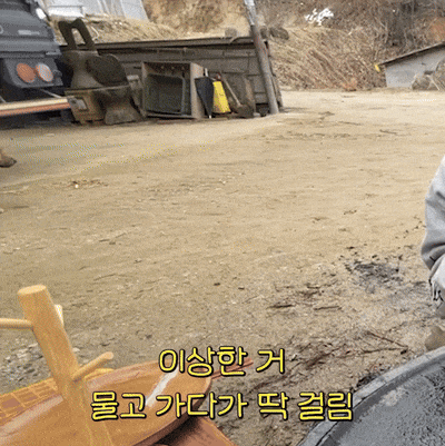 [유머]삥뜯긴 댕댕이 탑.gif