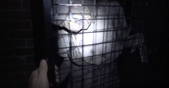 스크린샷 2025-09-04 163057.png