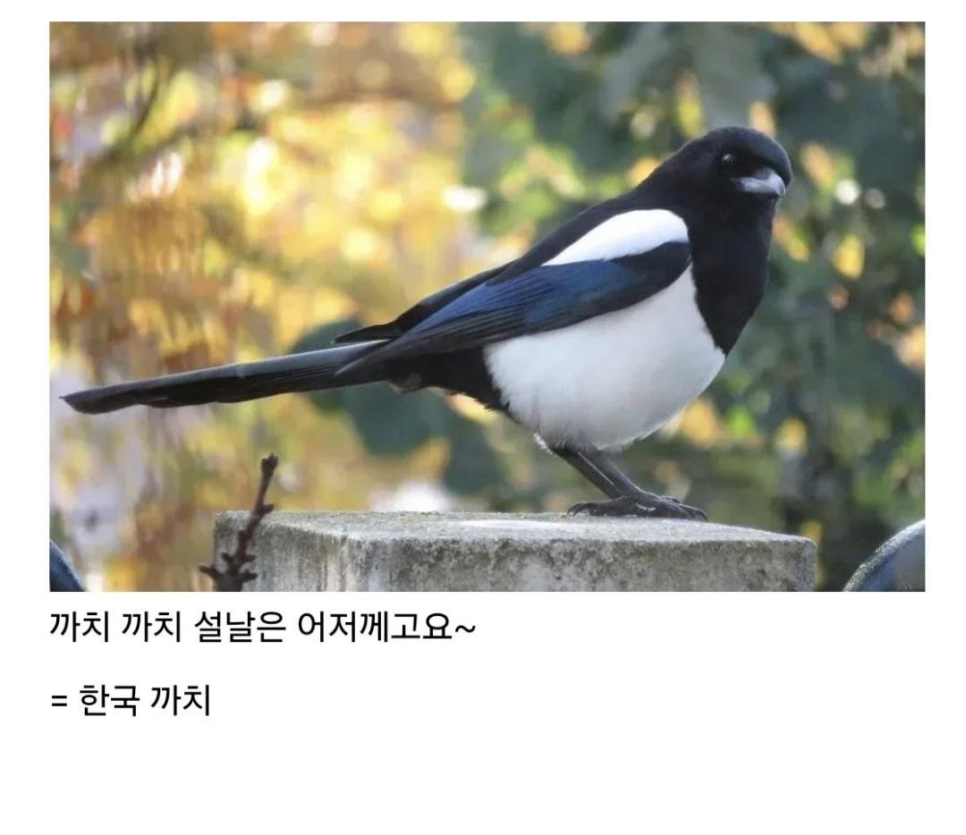 Screenshot_20250831_211247_Samsung Internet.jpg