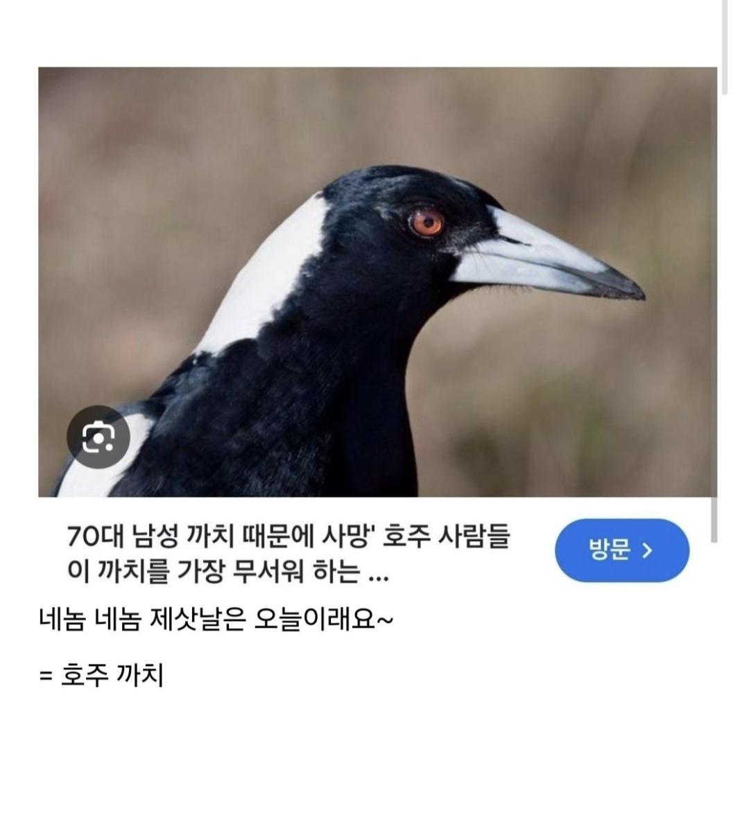 Screenshot_20250831_211251_Samsung Internet.jpg