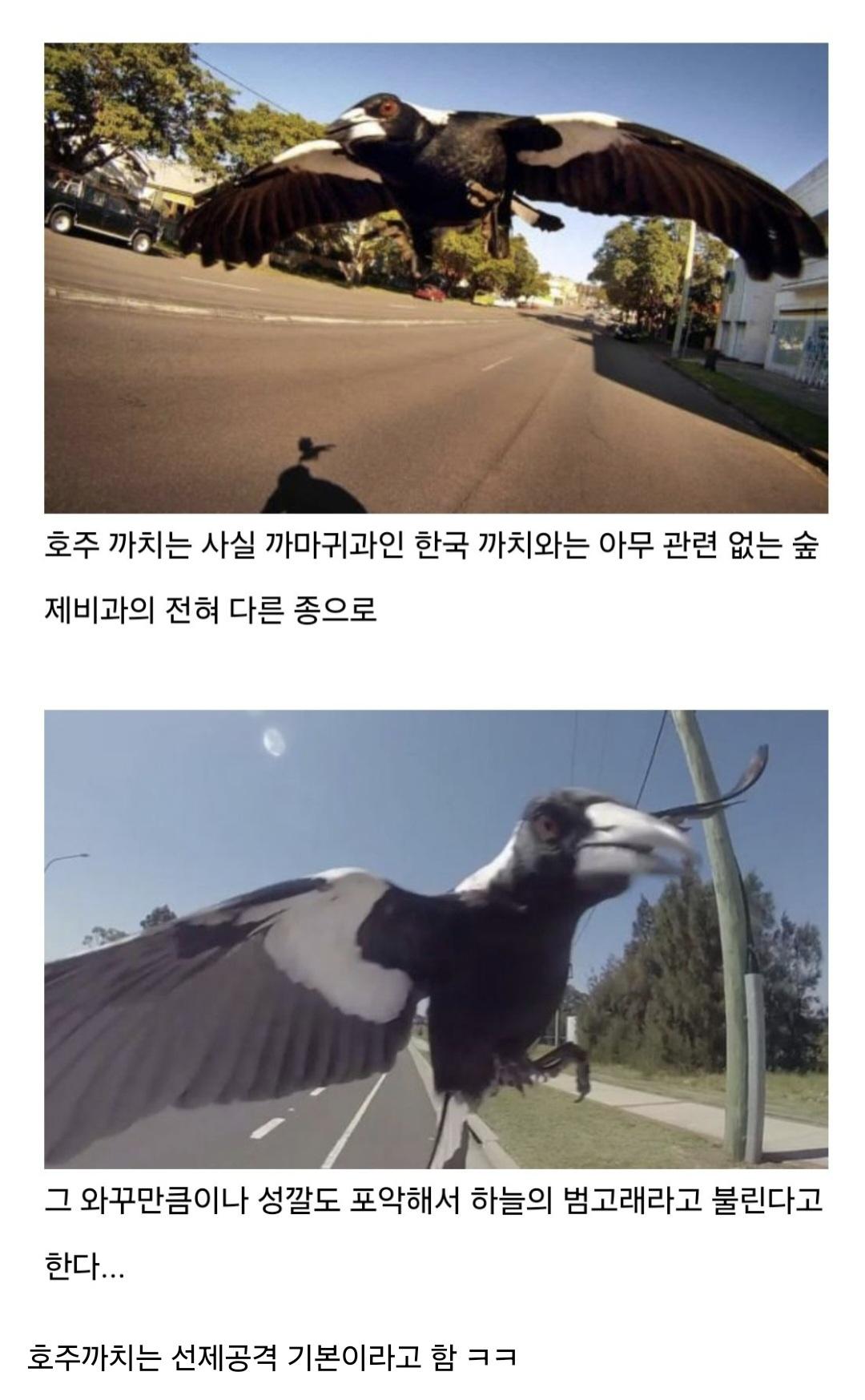 Screenshot_20250831_211256_Samsung Internet.jpg