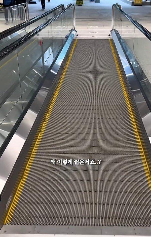 m_20251218135015_f8suNQY0g3_20251218191611.jpeg