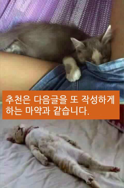 추천.jpg