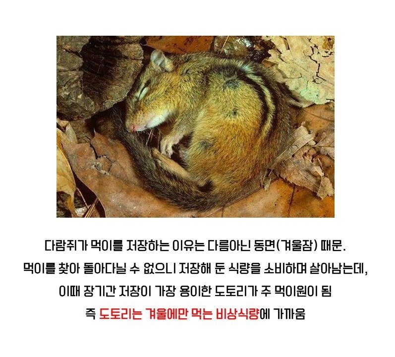 115880__Ym202506.jpg