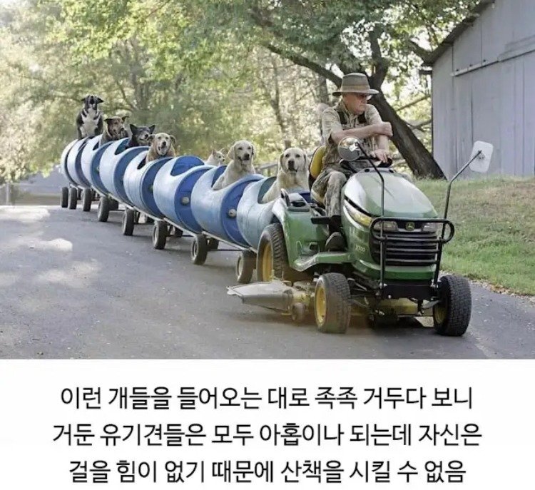 118804__Ym202507.jpg