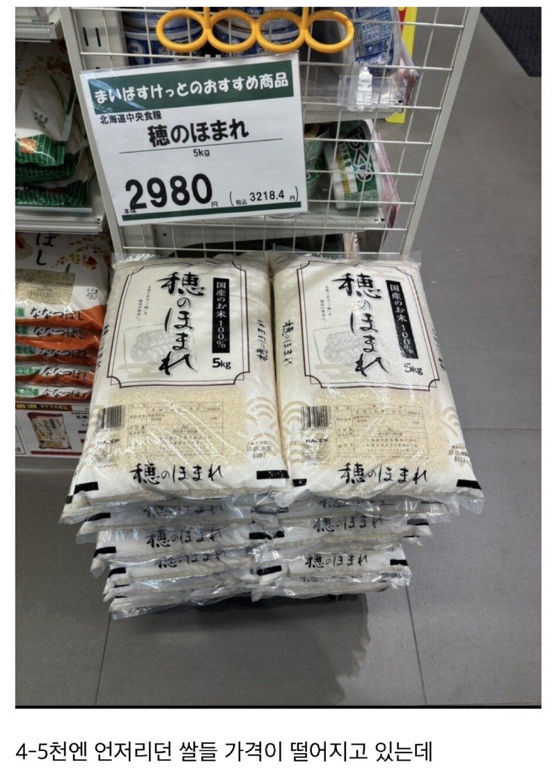 171265__Ym202505.jpg