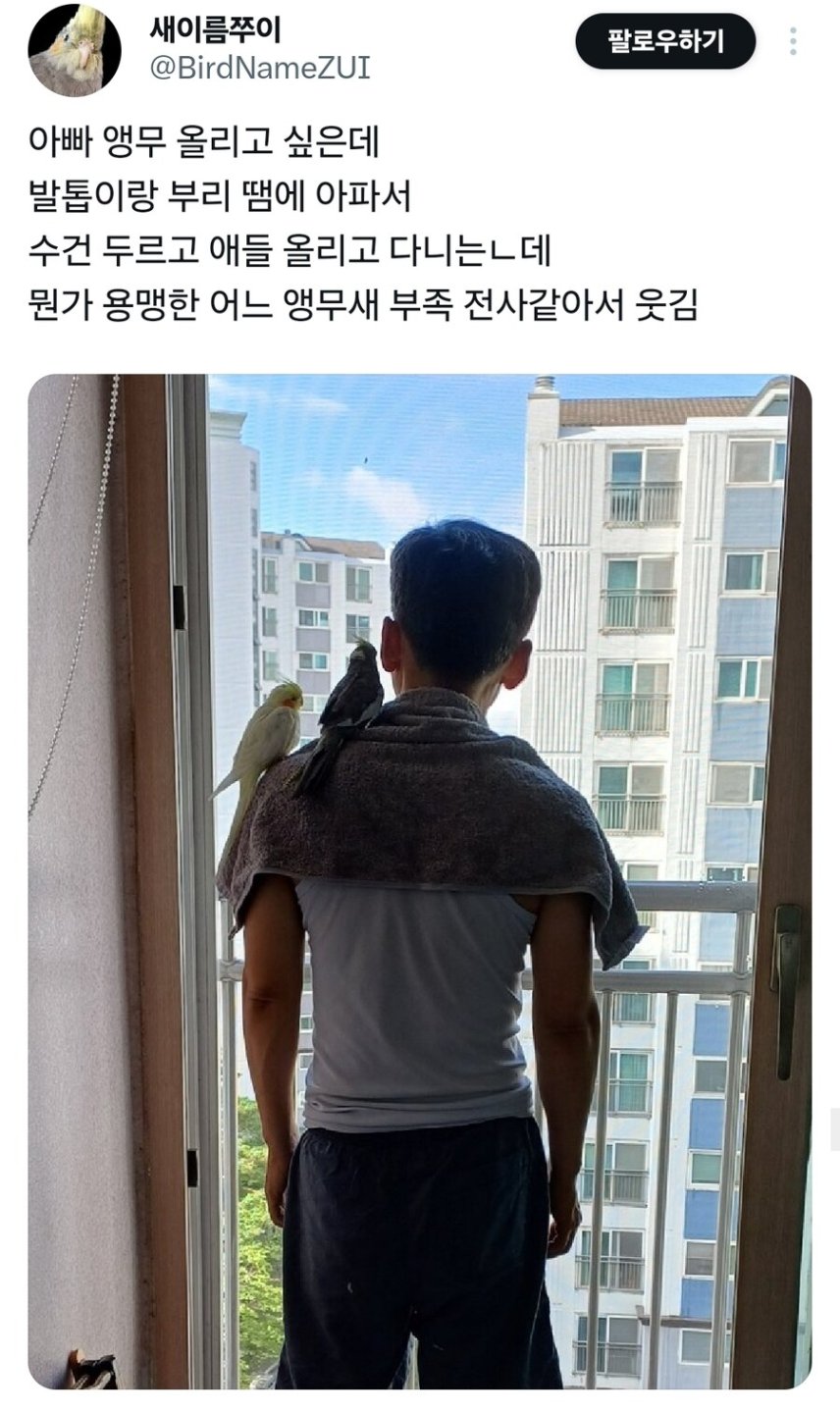 178216__Ym202508.jpg