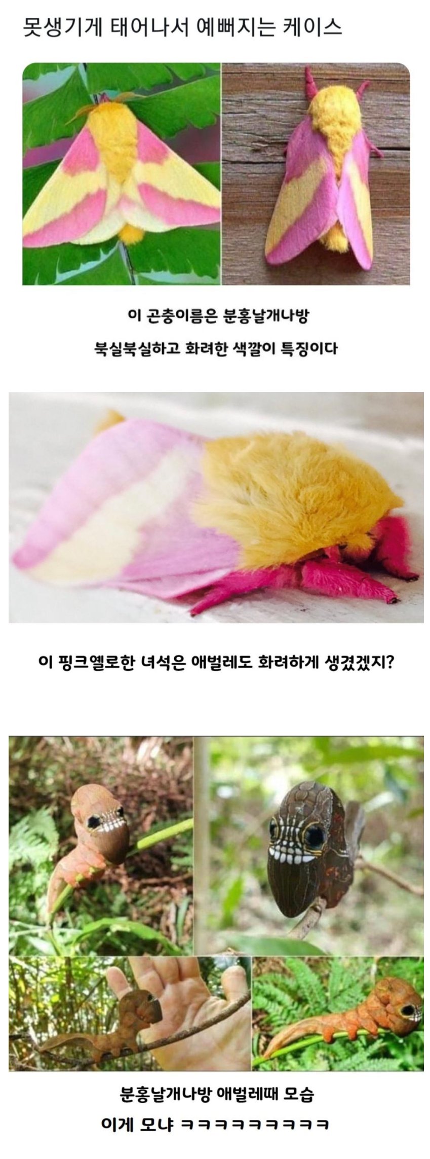 244153__Ym202507.png