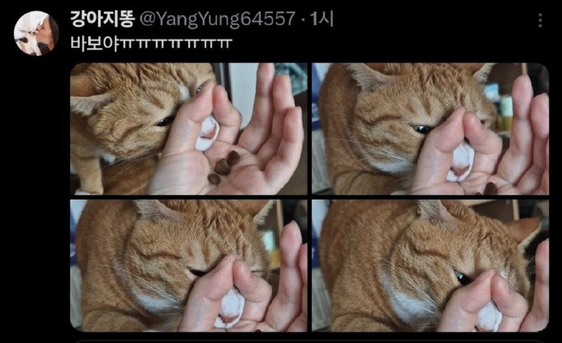 f72485__Ym202507.jpg