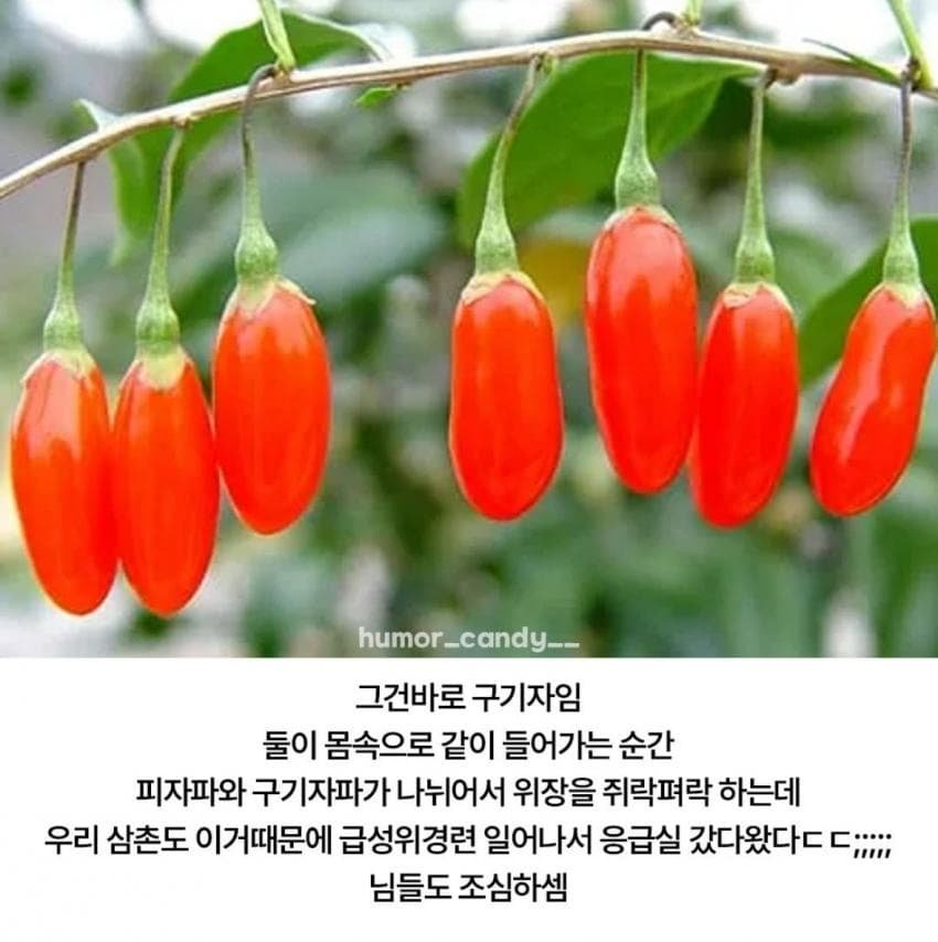 f77522__Ym202508.jpg