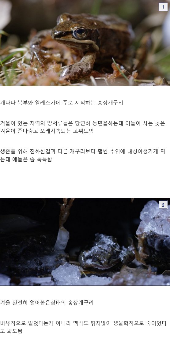 f83037__Ym202504.png