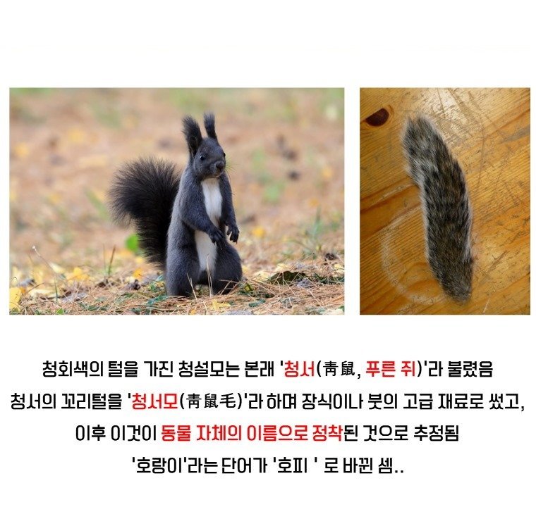 f91250__Ym202506.jpg