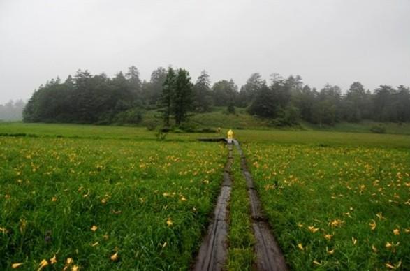 화면 캡처 2025-09-20 125244.jpg