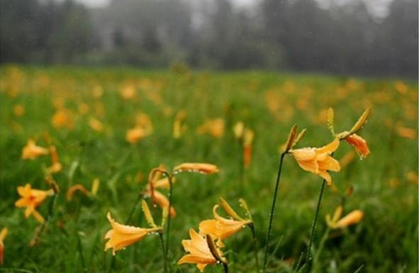 화면 캡처 2025-09-20 125344.jpg