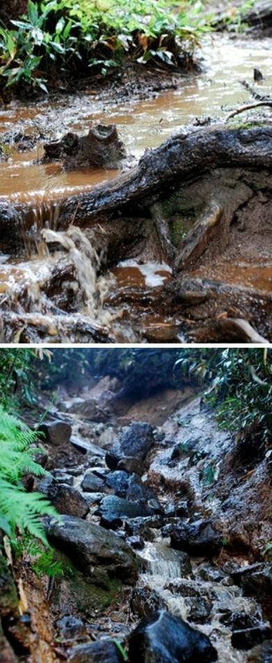 화면 캡처 2025-09-20 125841.jpg