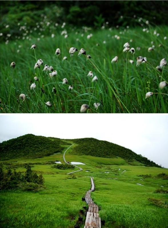 화면 캡처 2025-09-20 125925.jpg