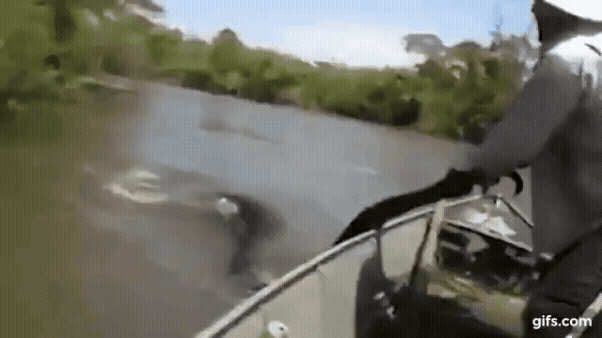 Adobe Express - 1.gif