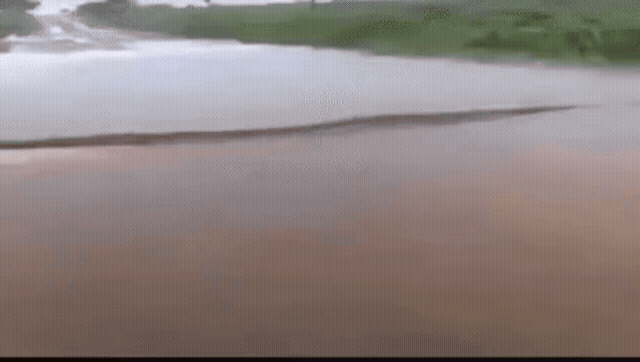 Adobe Express - 3.gif