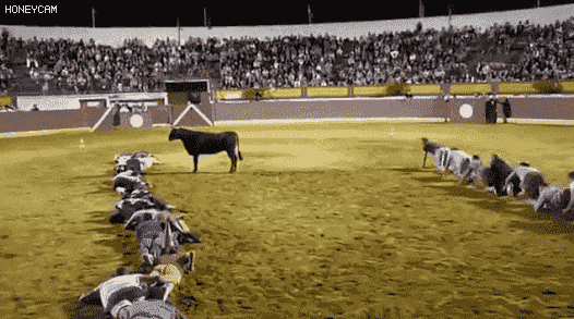 다운로드 (1).gif