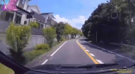 01.gif