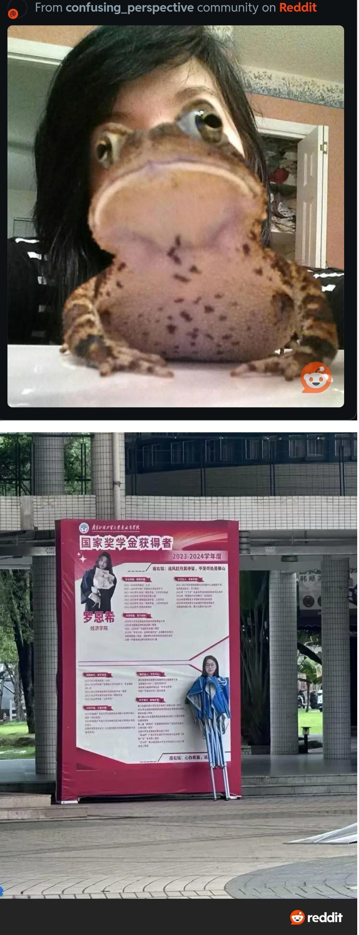 Screenshot 2025-09-03 at 14.47.38.JPG