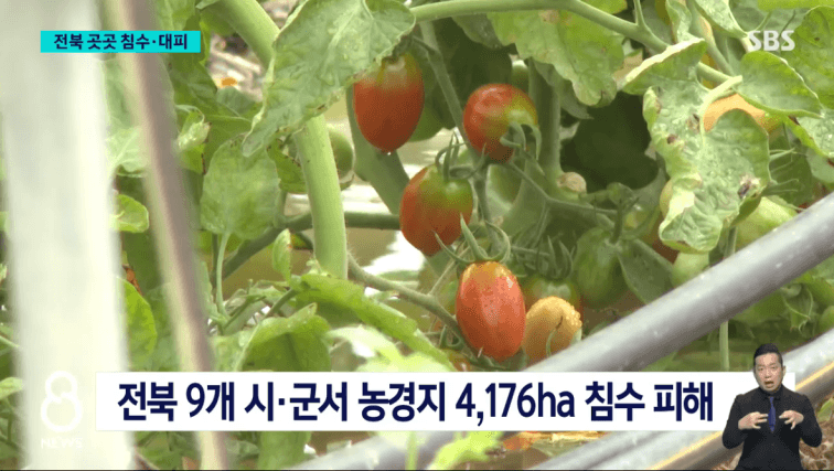 Honeycam 2025-09-07 23-50-13.gif