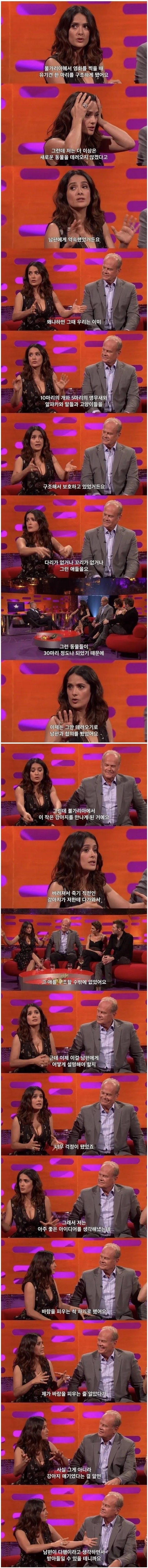 48.jpg