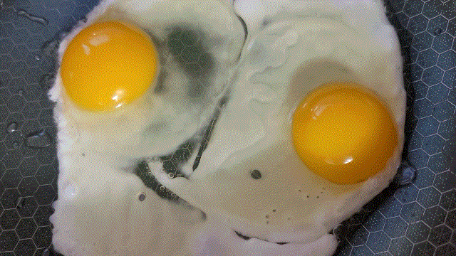 다운로드 (13).gif