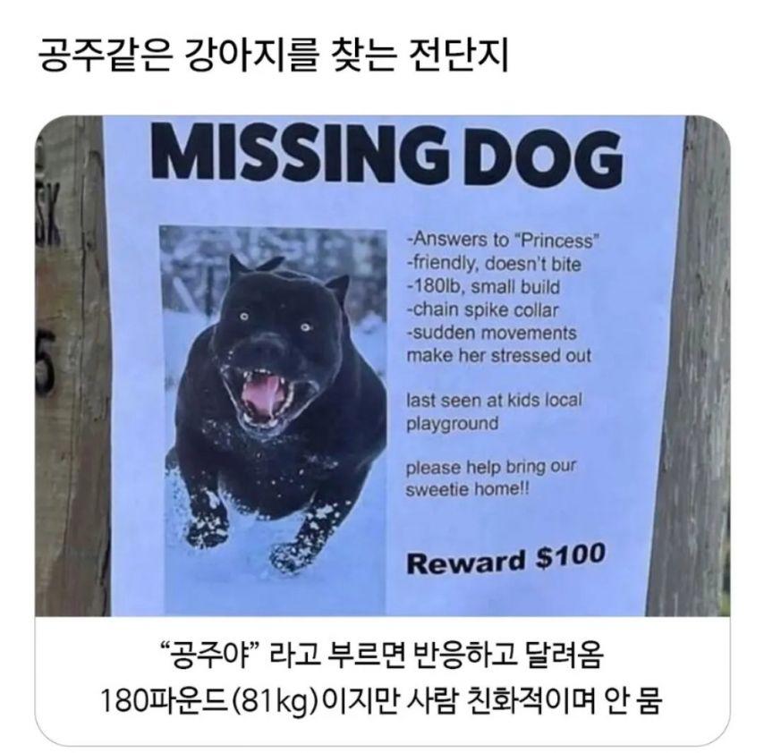 1000098539.jpg
