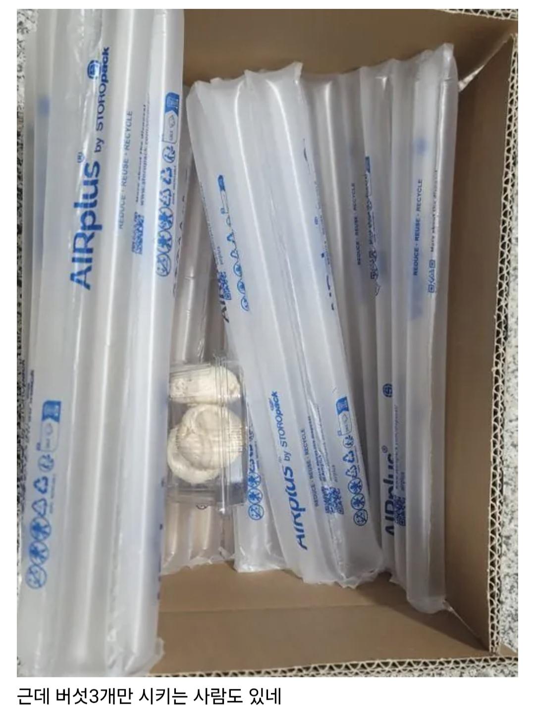 Screenshot_20260421_084105_Samsung Internet.jpg