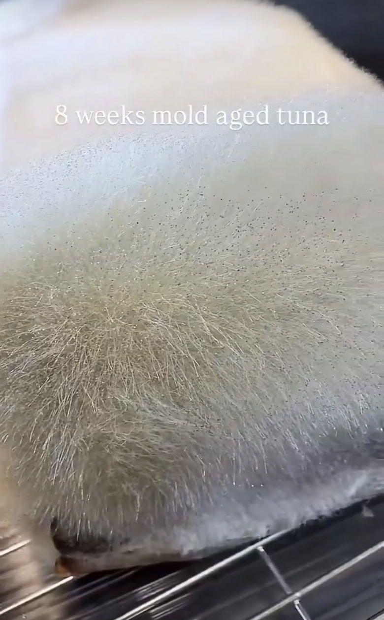 2105648162_RT7zpeb8_wXuOcE9YKLlWP4Hk.jpeg