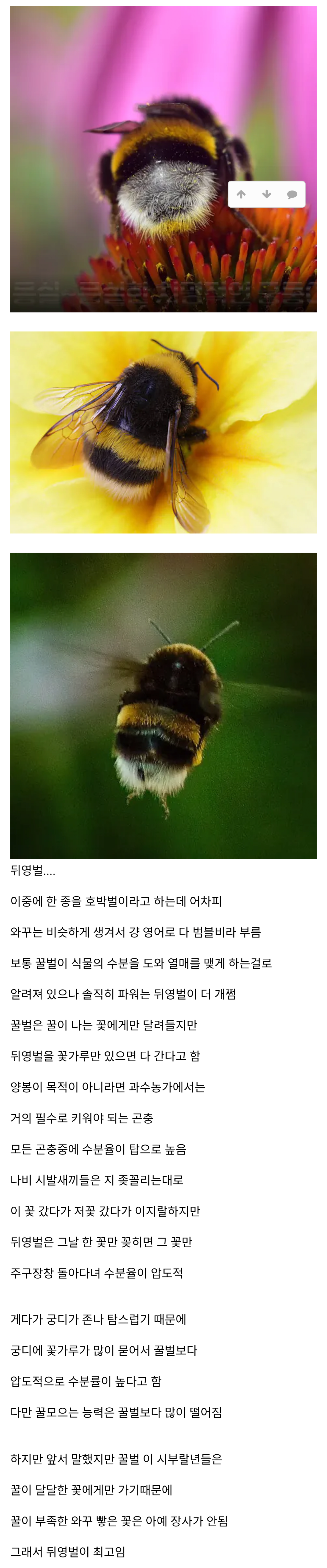 Internet_20260419_134503.png