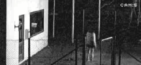 세계의_바보도둑들_유머모음1.gif