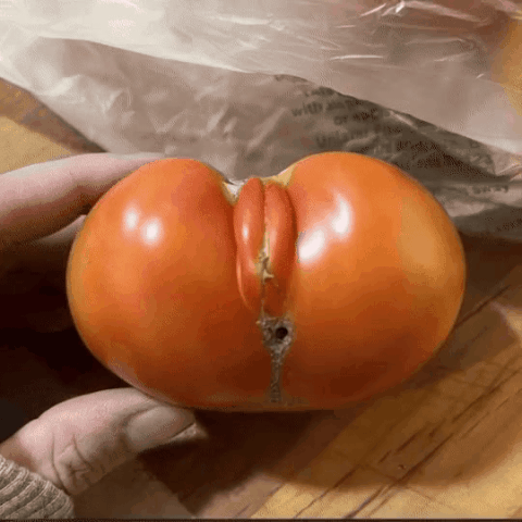 GIF_20260419_145726_237.gif